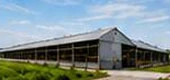 宜蘭 雞舍翻新改建案